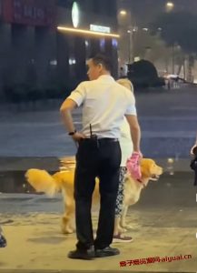 广东保安小哥为避雨的狗狗擦掉身上的雨水