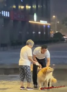 广东保安小哥为避雨的狗狗擦掉身上的雨水