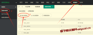 苹果CMS数据库如何备份以及备份数据文件在哪里